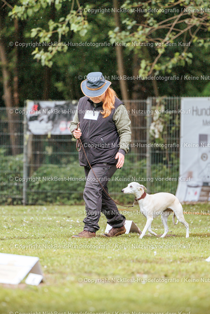 RO-Blumenthal-2026-Nickbest-Hundefotografie-0147 | Dein Hund! Dein Moment! Deine Erinnerungen! Hundefotografie in Bremen Blumenthal. Ich fange die besonderen Momente deines Vierbeiners ein – ob Indoor mit Blitzanlage oder in der freien Natur. Sicher dir dein Moment und dein Termin für eure Erinnerungen.