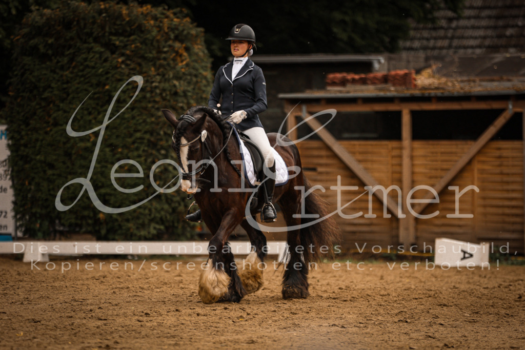 DoDrE00285 | Leoni Ertmer Photography - Realisiert mit Pictrs.com