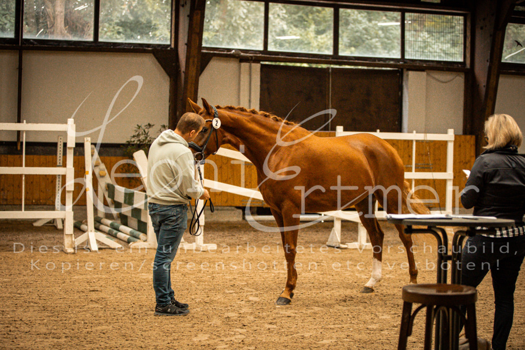 1FS_L00061 | Leoni Ertmer Photography - Realisiert mit Pictrs.com