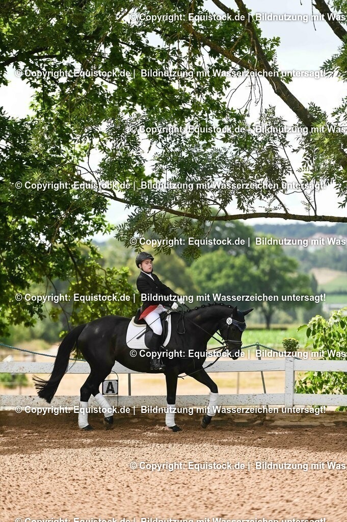 20230716_10-1_Reiter-WB Schritt - Trab - Galopp_0152 | equistock
