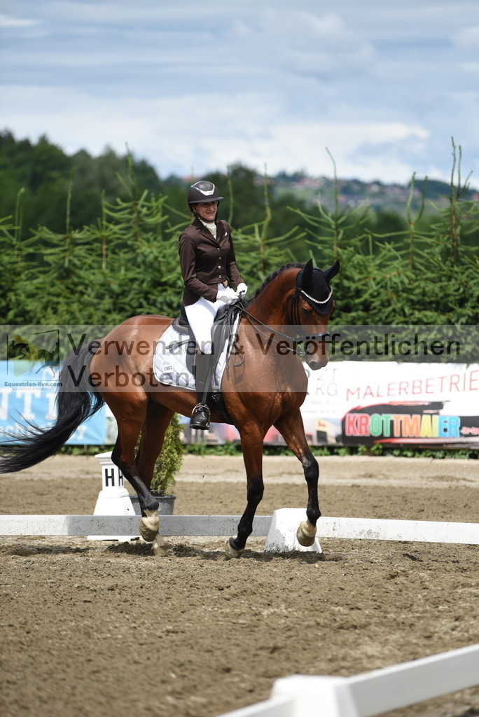 DSC_0899 | equestrian-live-com