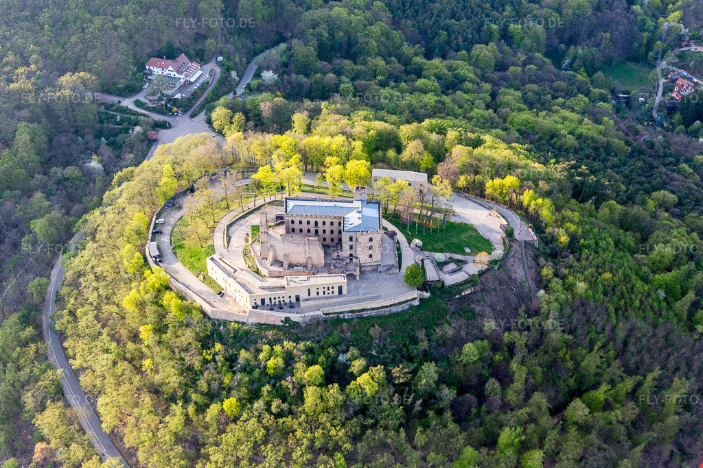 Luftbild: Oberhambach, Hambacher Schloss im Ortsteil Diedesfeld in Neustadt im Bundesland Rheinland-Pfalz in Deutschland. Foto: IMG_106598.jpg vom 17.04.2018 durch Werner Riehm/FLY-FOTO.de