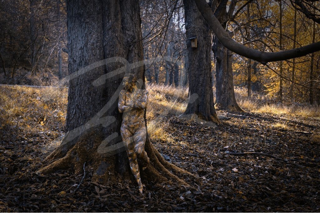 NatureArt-HERBSTLAUB_2537b | Im mystischen Herbstwald | #003 | Modell: Fee | Foto: Andreas Meier - Realisiert mit Pictrs.com