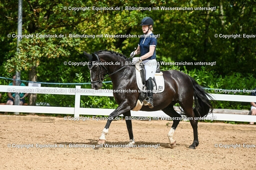 20230715_02_Dressurreiterprüfung Kl.L_0355 | equistock