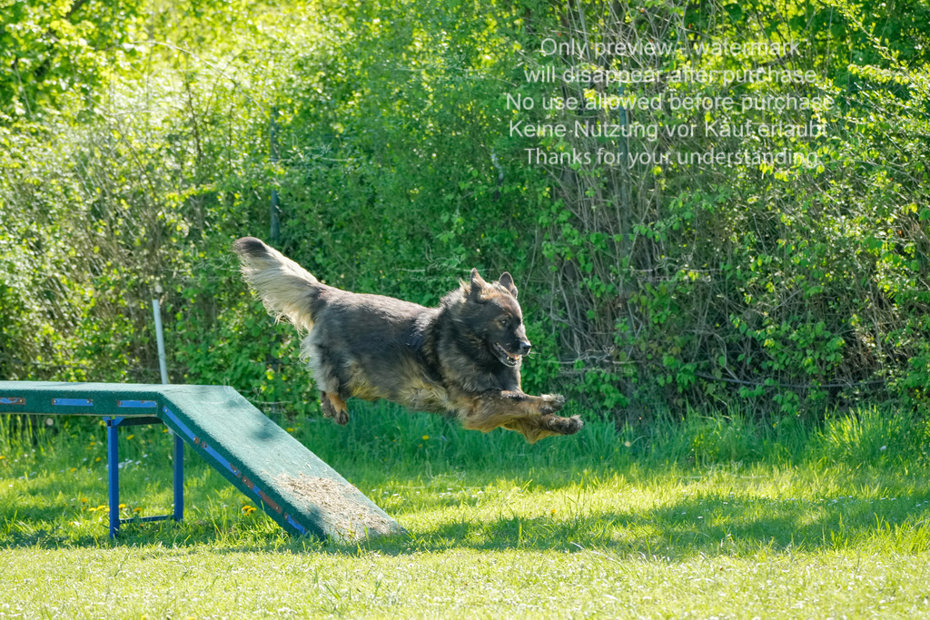 Sa_VK3_03-44 | stephaniefillaphotographie - Realisiert mit Pictrs.com