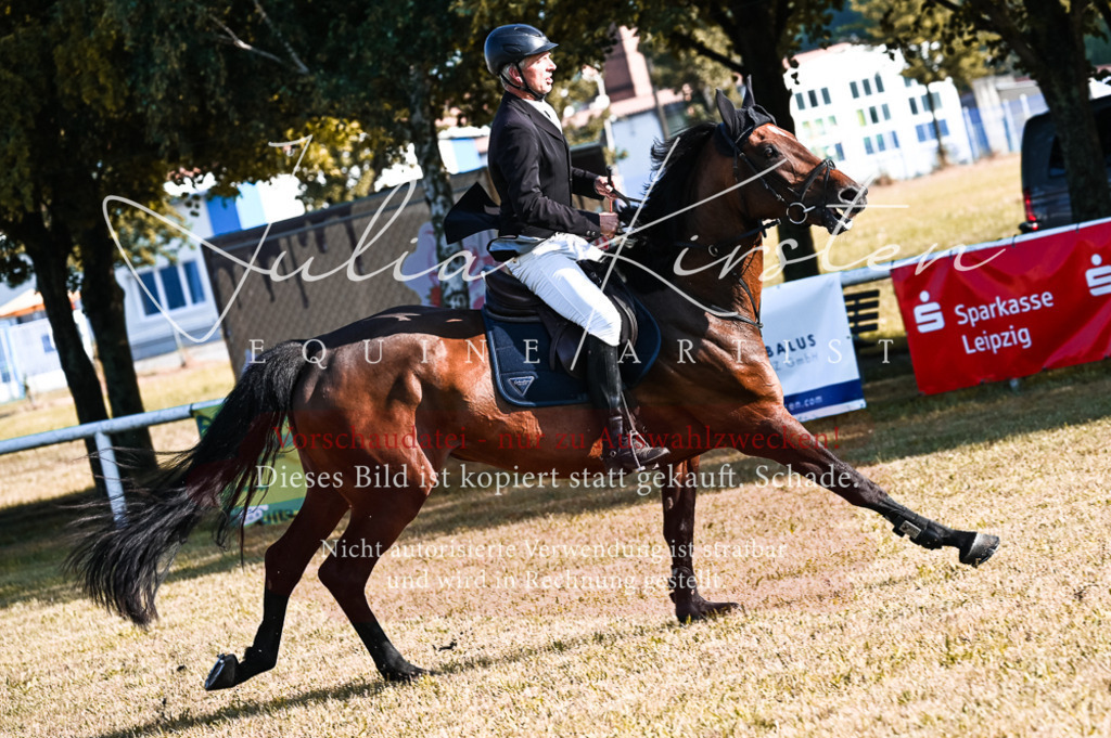 DSC_7466 | Pferde- und Turnierfotografie in Westsachsen. Pferdeportraits, Auftragszeichnungen und intuitive Kunst.