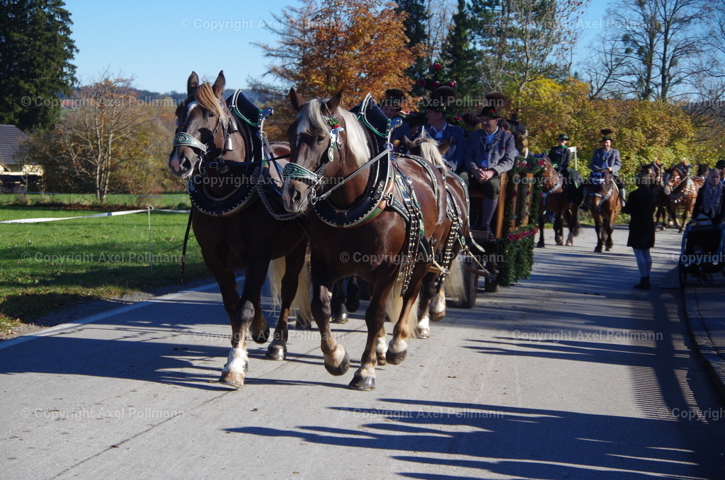 IMGP8107 | fotografiert von Axel PollmannLeonhardi Wallfahrt Benediktbeuern und Murnau, Fronleichnam, Fasching, Landschaft im Loisachtal und Benediktbeuern  - Realisiert mit Pictrs.com
