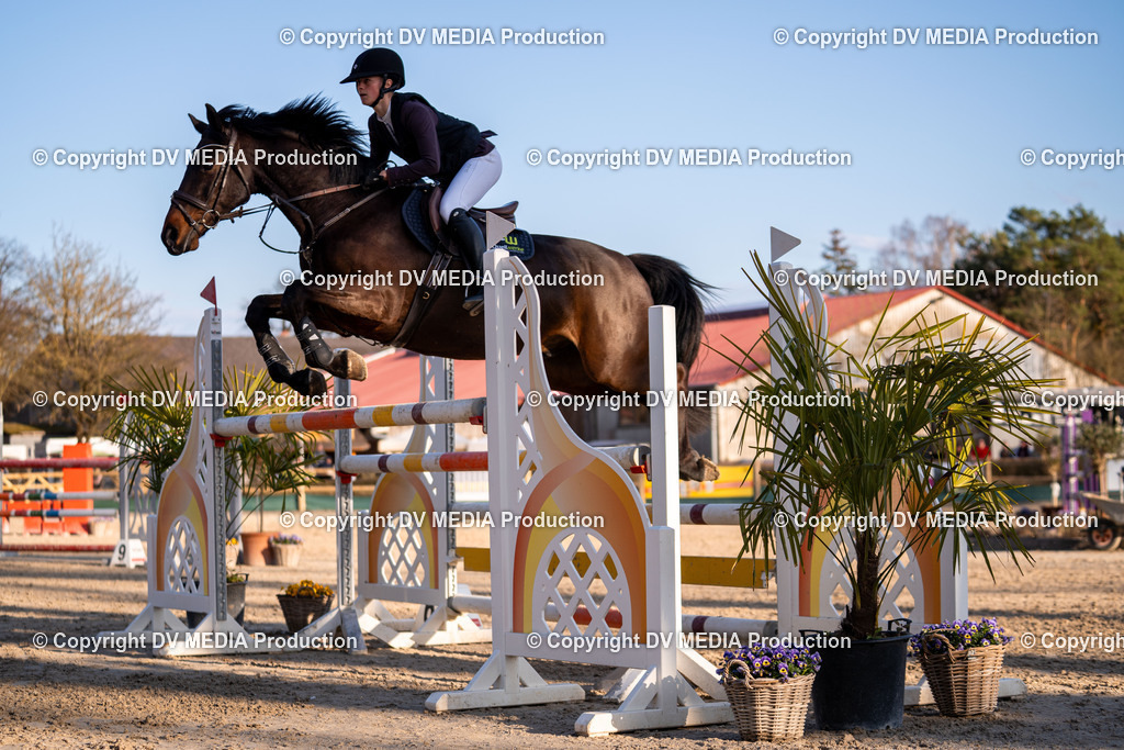 Kranichstein Tag 2-1095 | dv-media-shop - Realisiert mit Pictrs.com