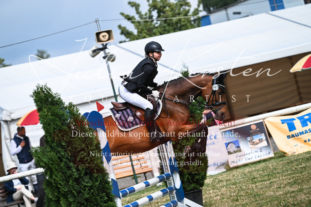 DSC_8412 | Pferde- und Turnierfotografie in Westsachsen. Pferdeportraits, Auftragszeichnungen und intuitive Kunst.