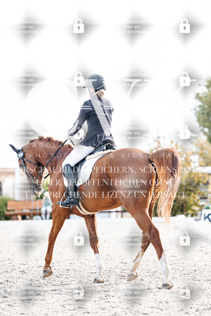 CK901382 | Turnierfotografie Pferdefotografie Trier Rheinland-Pfalz Pferdesport Reitsport Tierfotografie Sportfotografie Pferdevideo Pferdevideografie Equestrianvideography equestrianphotography  - Realisiert mit Pictrs.com