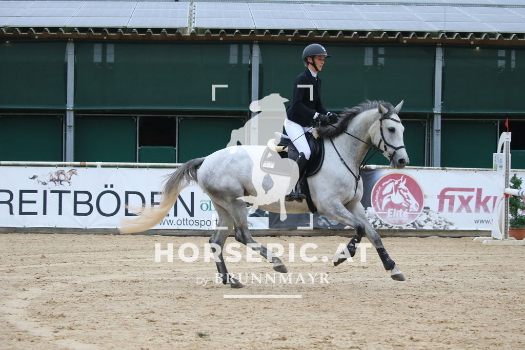 DL2Q3892 | Willkommen bei Brunnmayr - Design & Fotografie – Ihrem Spezialisten für Reitturniere und Pferdeveranstaltungen in Oberösterreich, Salzburg und Bayern! Seit über 17 Jahren sind wir leidenschaftlich dabei.