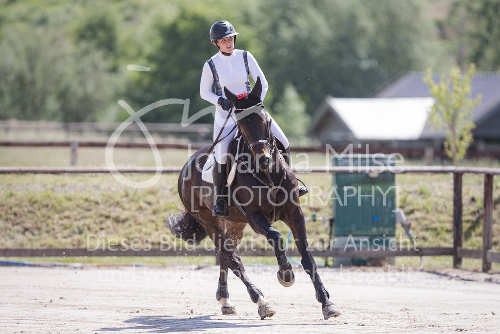 220612_LüPfSpTa_Stil-A2-308 | Lützower Pferdesporttage
Stilspringprüfung Kl.A** geschlossen
12.06.2022