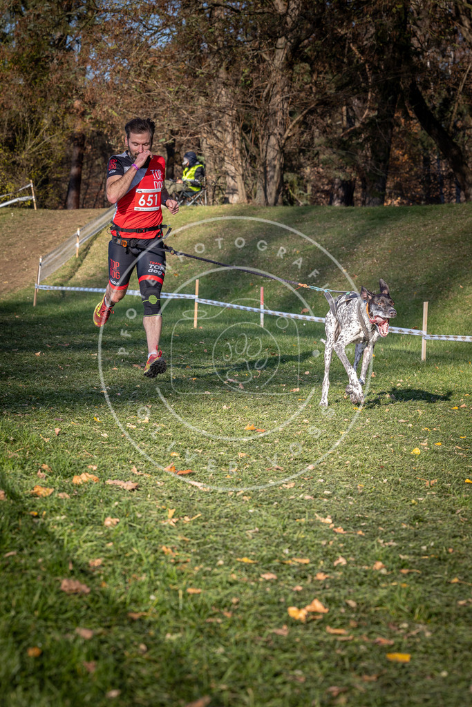 CaniXpix_0L8A9123 | Hundefotografie, Tierfotograf, Pfotenfotografie, Fotoshooting Hund, Hunde Portrait, Hundesport, Hundeportraits, Heideshooting, Hunde, Sportfotograf, Hundefotograf, Turnierhundsport, THS,  - Realisiert mit Pictrs.com