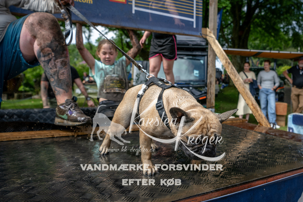 1123_ZZ93924 | kk-dogfotos