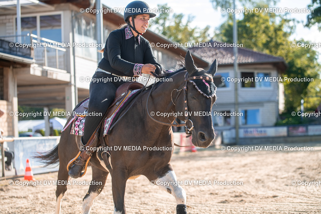 EWP_7099 | dv-media-shop - Realisiert mit Pictrs.com