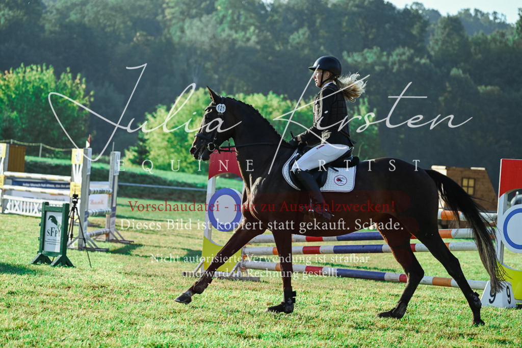 DSC_4222 | Pferde- und Turnierfotografie in Westsachsen. Pferdeportraits, Auftragszeichnungen und intuitive Kunst.