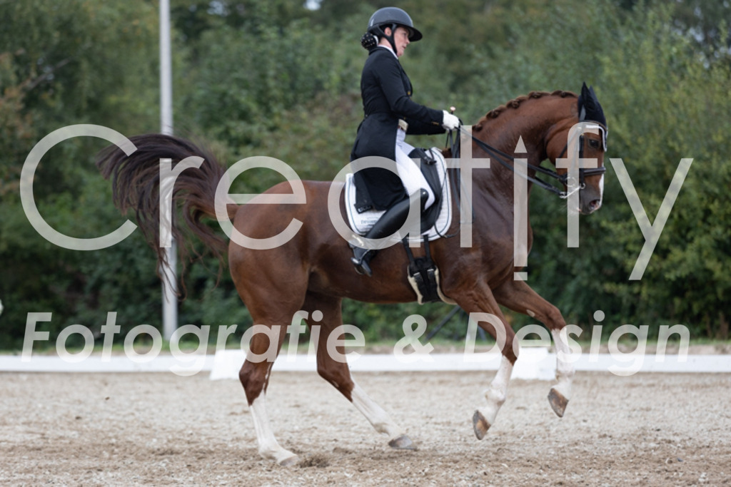 IMG_5765 | Creatify Fotografie