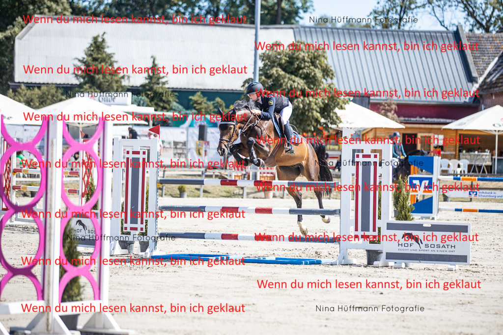BK1A6605 | Turnierbilder Turnierfotos Nina Hüffmann Turnierfotografie Pferdefotografie Tierzeichnung Haustierzeichnung Pferdezeichnung Hundezeichnung Videograf  - Realisiert mit Pictrs.com