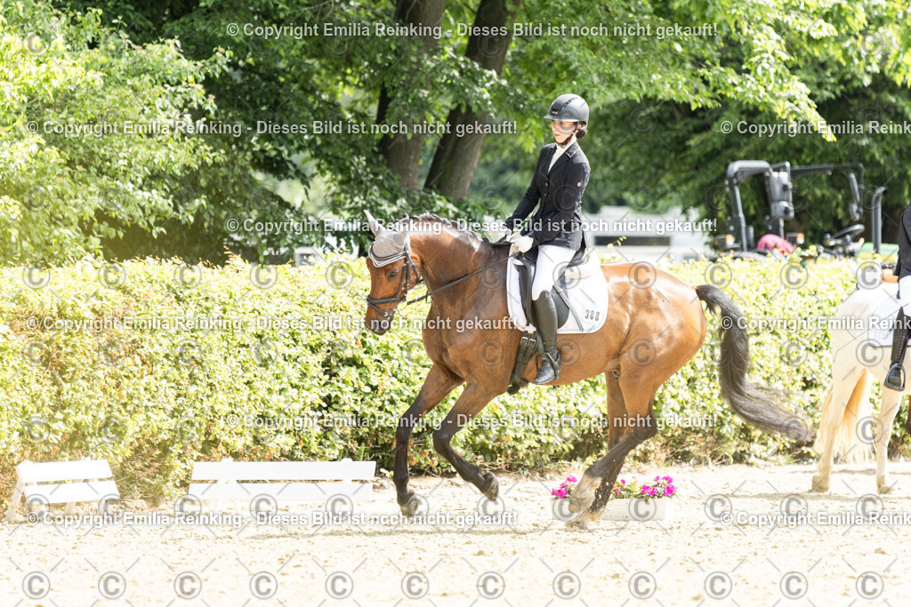 CL5A7060 | Emilia Reinking Fotografie - Realisiert mit Pictrs.com