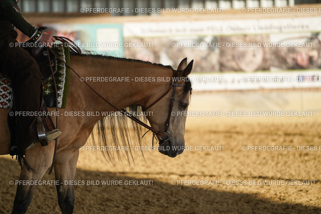 DSC08376 | Pferdegrafie