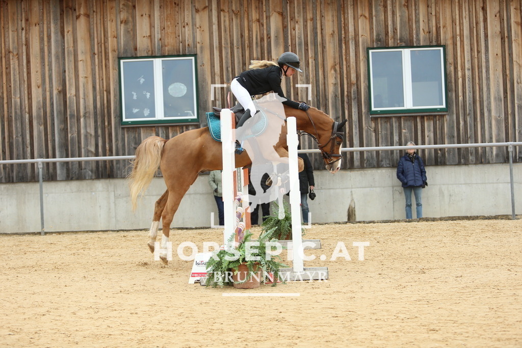 DL2Q1505 | Willkommen bei Brunnmayr - Design & Fotografie – Ihrem Spezialisten für Reitturniere und Pferdeveranstaltungen in Oberösterreich, Salzburg und Bayern! Seit über 17 Jahren sind wir leidenschaftlich dabei.