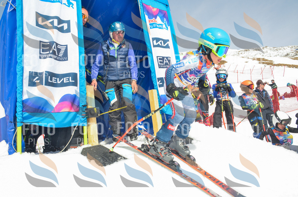 _ELE7361 | holidayphoto