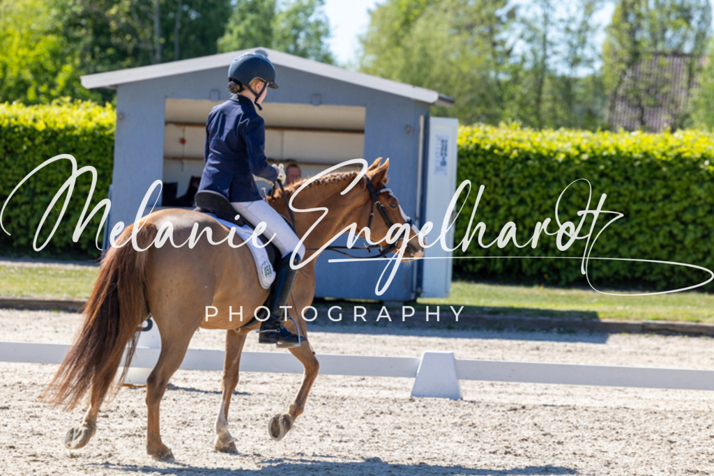 7I8A1845 | melanie-engelhardt-photography - Realisiert mit Pictrs.com