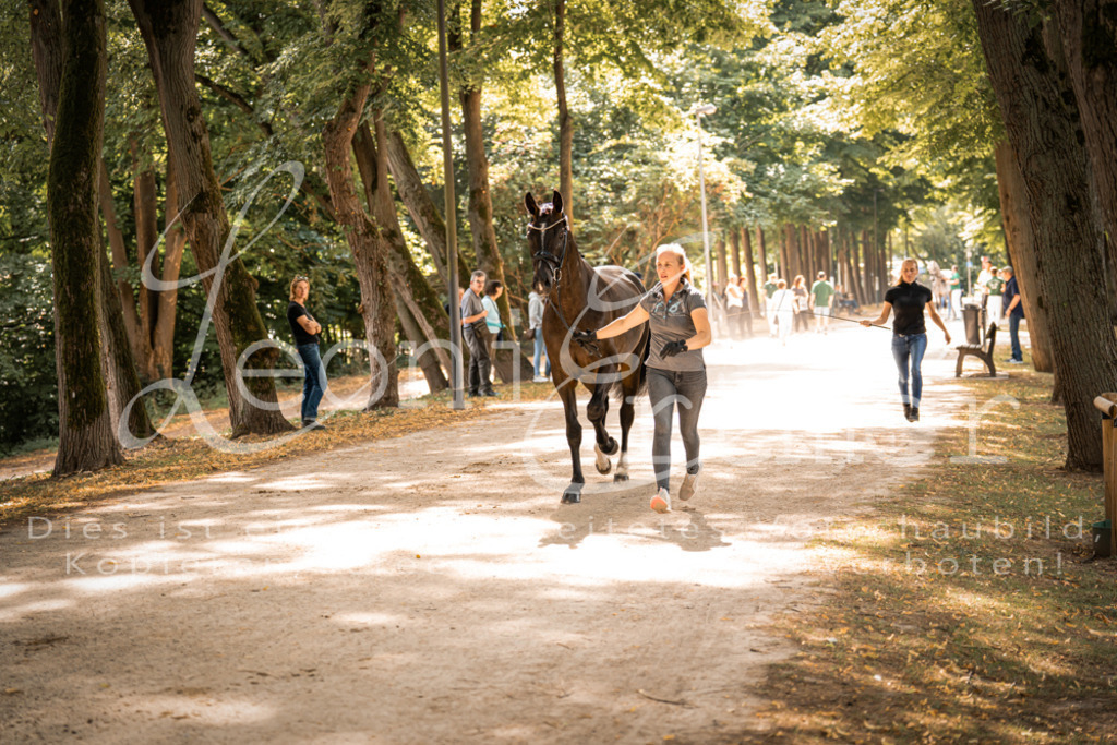 FrPfM00168 | Leoni Ertmer Photography - Realisiert mit Pictrs.com