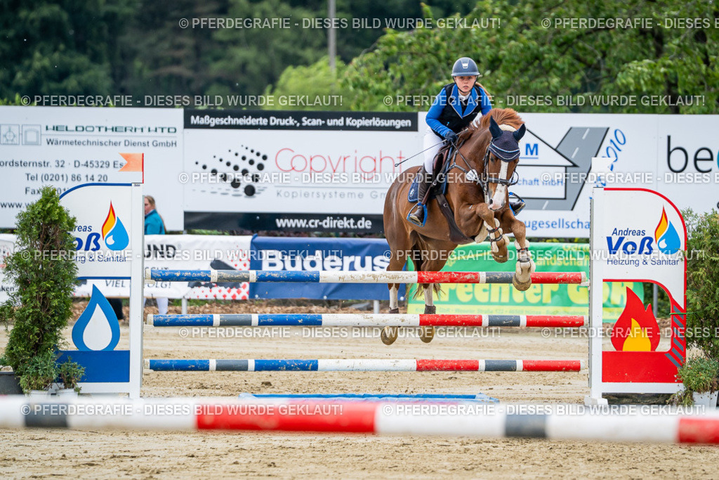 DSC04401 | Pferdegrafie