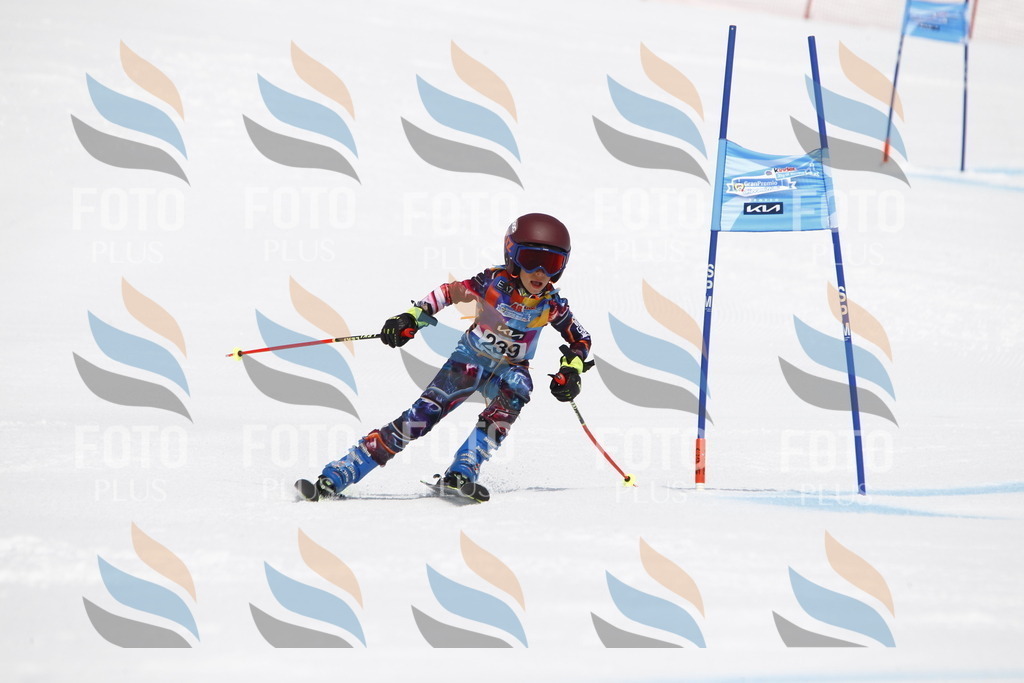 _U3G6074 | holidayphoto