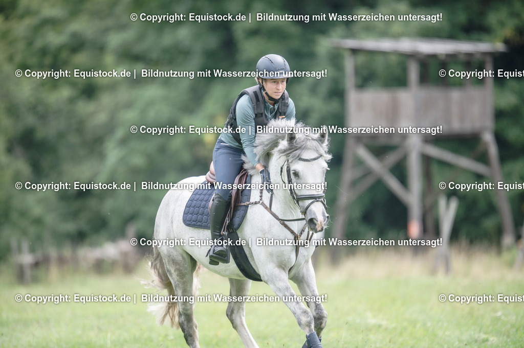 20250726_Vielseitigkeitslehrgang-Marbach_0551 | Foto: Thomas Hartig