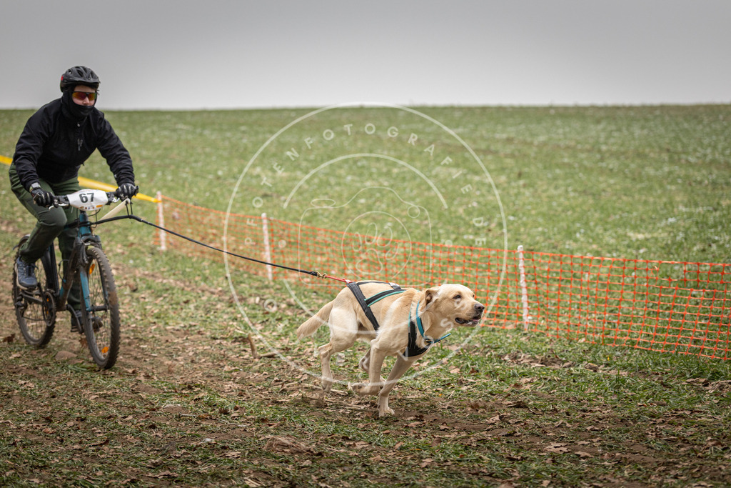 Pfotenfotografie_DV3A2965 | Hundefotografie, Tierfotograf, Pfotenfotografie, Fotoshooting Hund, Hunde Portrait, Hundesport, Hundeportraits, Heideshooting, Hunde, Sportfotograf, Hundefotograf, Turnierhundsport, THS,  - Realisiert mit Pictrs.com