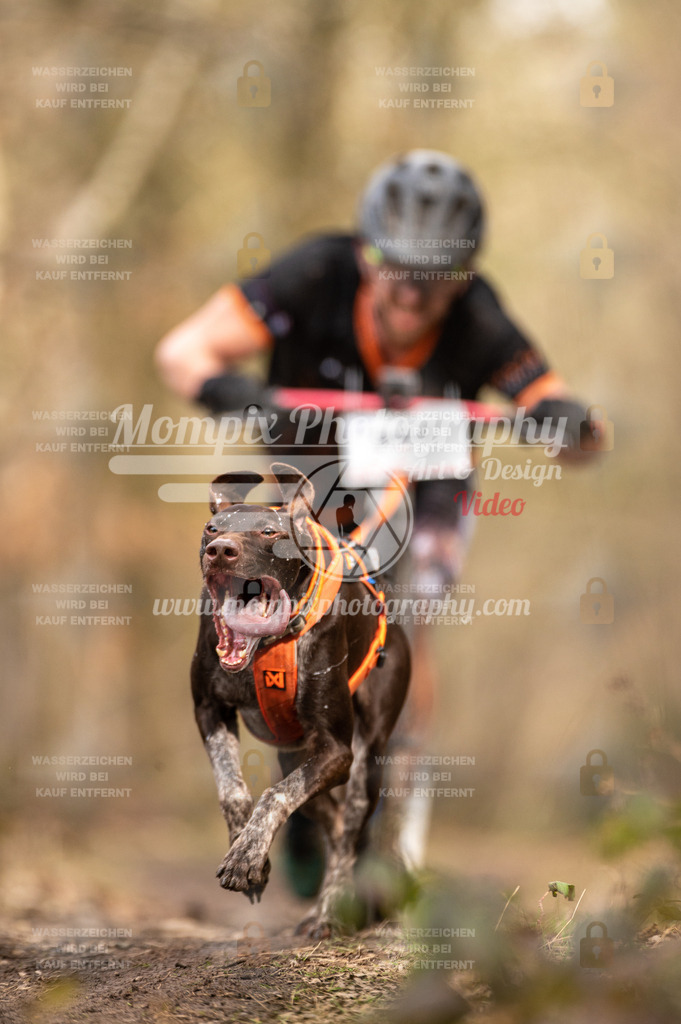 SPA_2023_SAM_Scooter-10 | PayLife