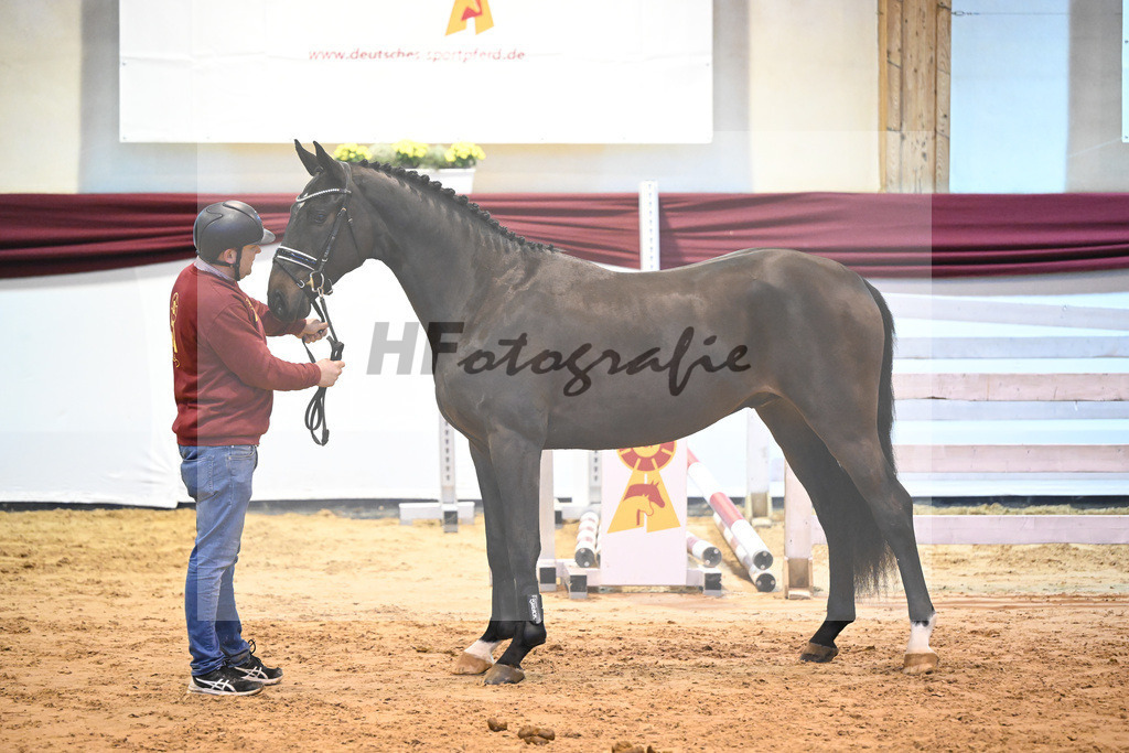 Kat-Nr. 50 v. Tobago Z_Gisler_66221218 | hf-fotografie - Realisiert mit Pictrs.com