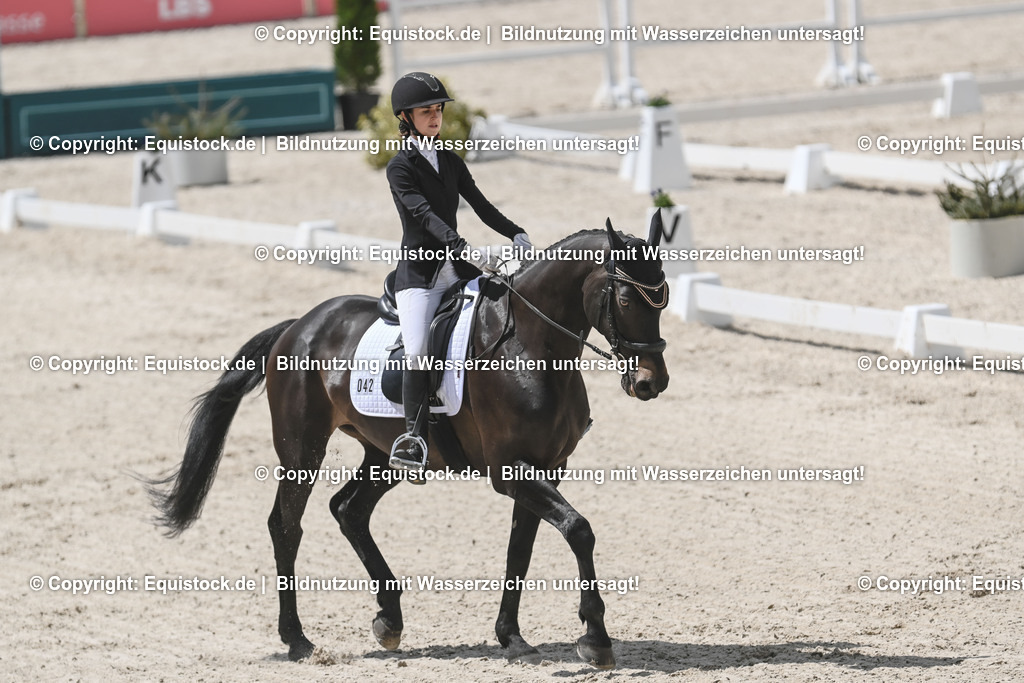 20250516_CCI2_Dressur_0181 | Foto: Thomas Hartig