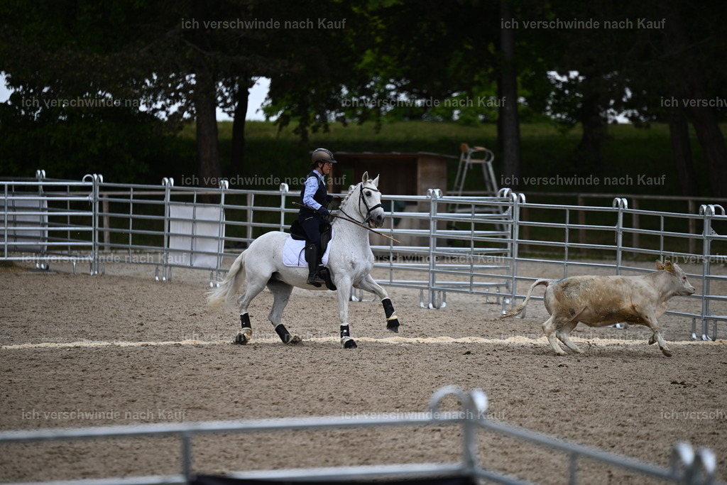 PI26_COW_Sara Landvogt226_7511.JPG | working equitationturnier fotograf videograf stoibphotography marixx film working equitation deutschland reitsport turnierfotografie eventfotografie equestrian events