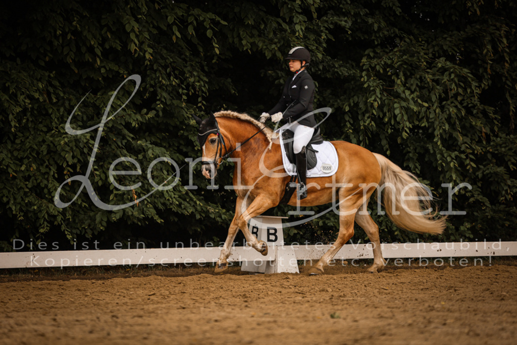 DoDrA00319 | Leoni Ertmer Photography - Realisiert mit Pictrs.com