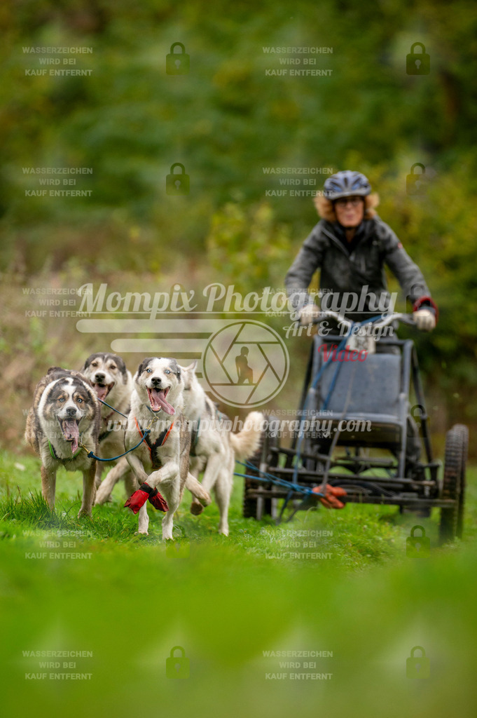 TSB_2023_E6_Kart-11 | PayLife