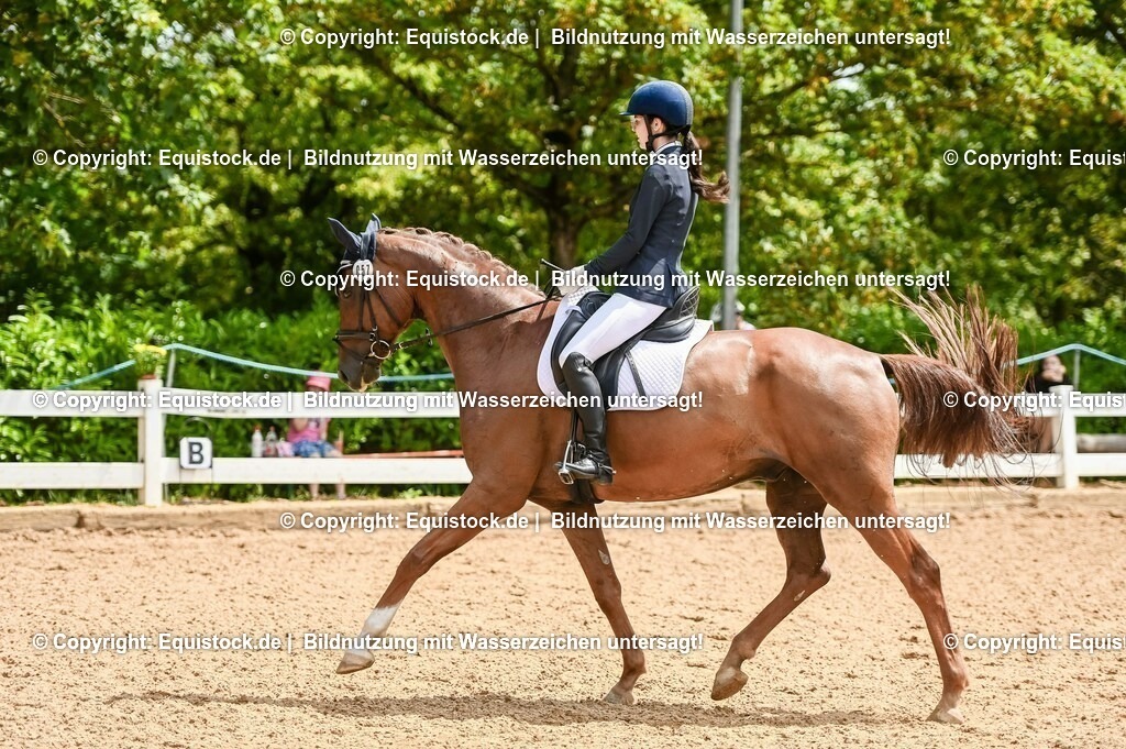 20230716_03_Dressurprfg. Kl.L - Tr._0315 | equistock