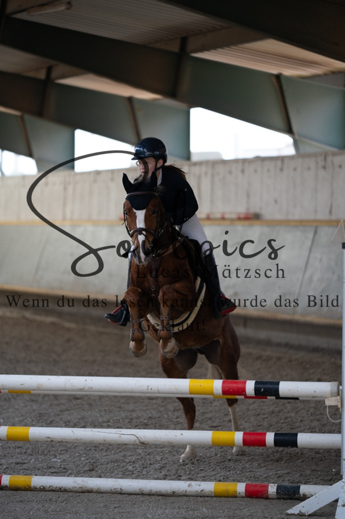 A7V07686 | Pferdefotograf