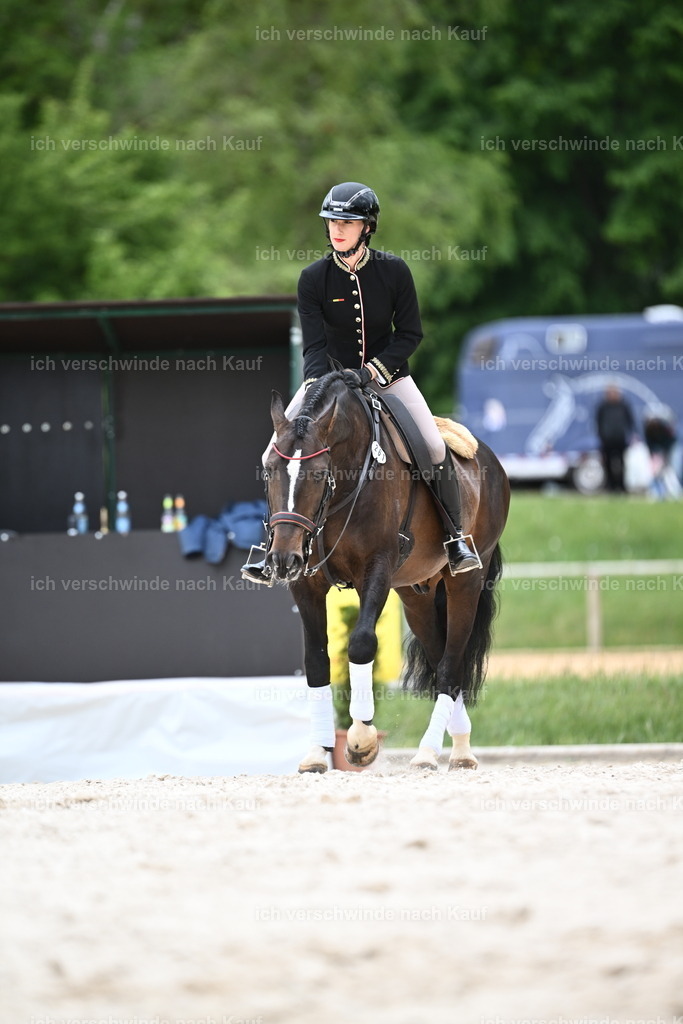PI26_ST_Sara_Landvogt226_4184.JPG | working equitationturnier fotograf videograf stoibphotography marixx film working equitation deutschland reitsport turnierfotografie eventfotografie equestrian events