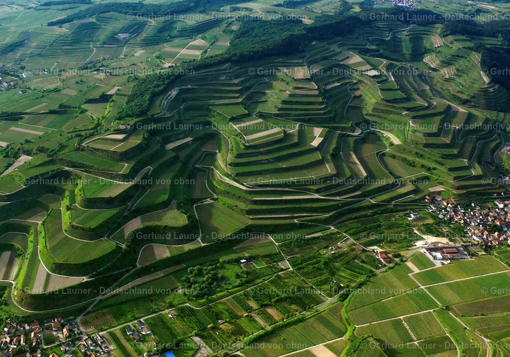9200352 | Weinbergsterrassen zw. Vogtsburg u. Oberbergen, Kaiserstuhl