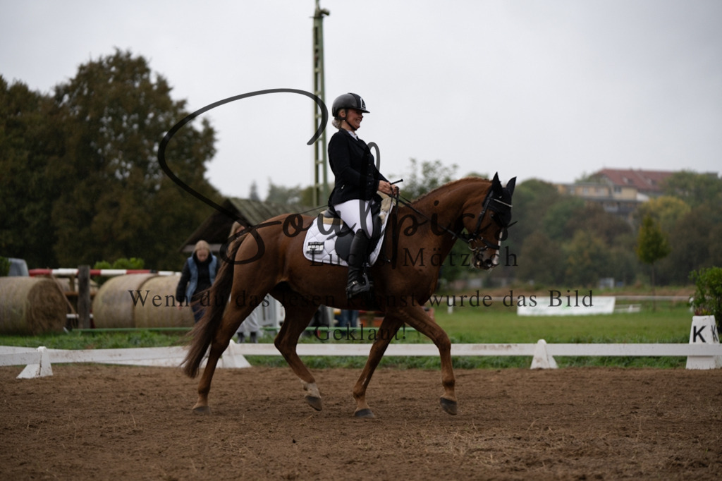 A7V05929 | Pferdefotograf