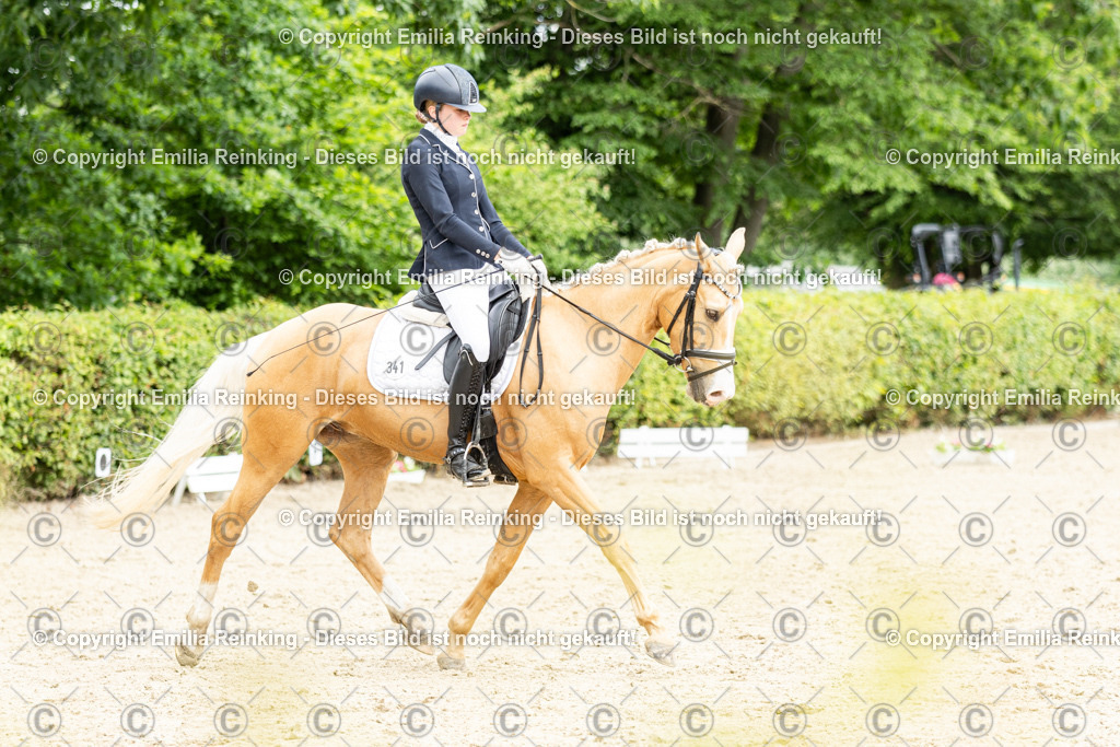 CL5A1856 | Emilia Reinking Fotografie - Realisiert mit Pictrs.com