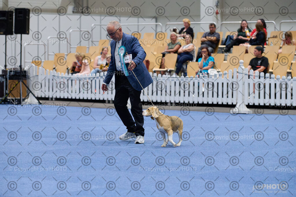 202406_ÖKV-IHA-Tulln24_DSC_3090 | proPHOTO - Realisiert mit Pictrs.com