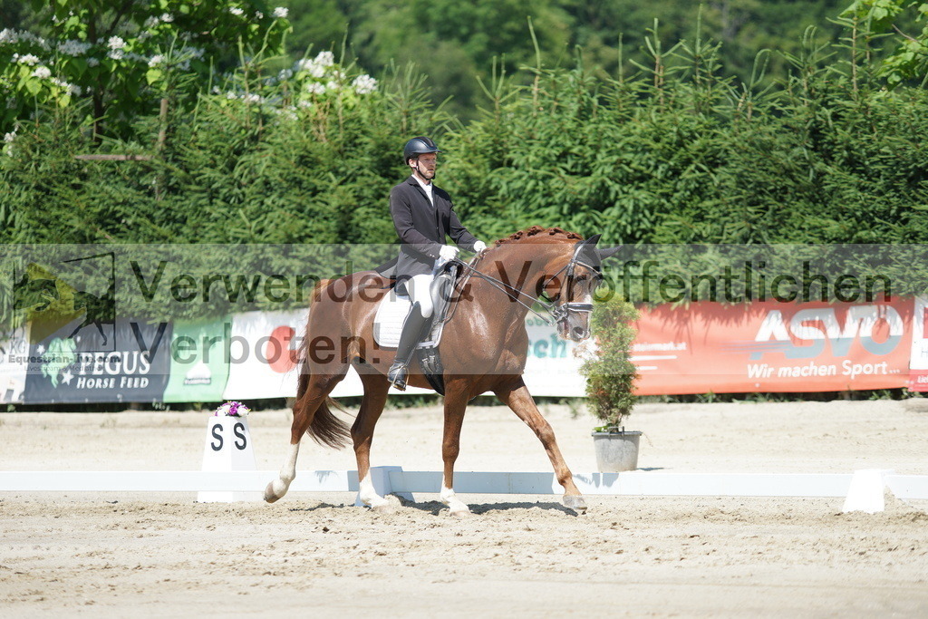 DSC03188 | equestrian-live-com