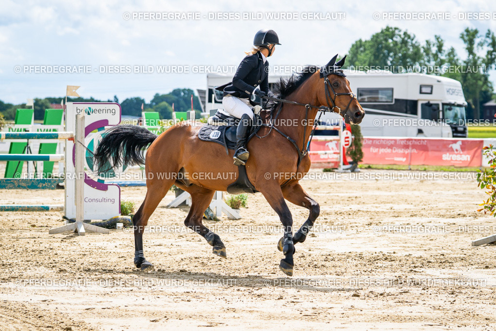 DSC05540 | Pferdegrafie