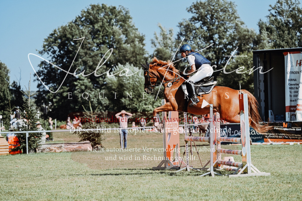 DSC_6940 | Pferde- und Turnierfotografie in Westsachsen. Pferdeportraits, Auftragszeichnungen und intuitive Kunst.