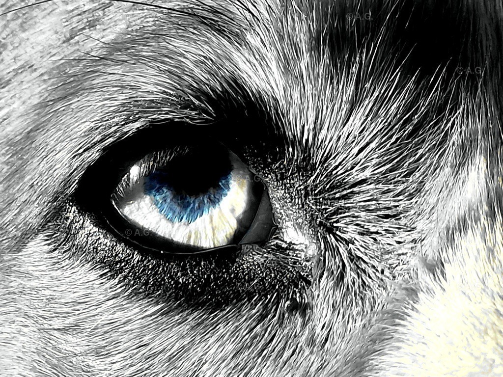 20220419_200106 | aileen-glaeser - Realisiert mit Pictrs.com