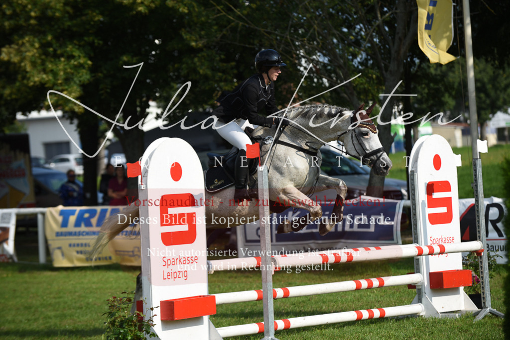 DSC_8740 | Pferde- und Turnierfotografie in Westsachsen. Pferdeportraits, Auftragszeichnungen und intuitive Kunst.